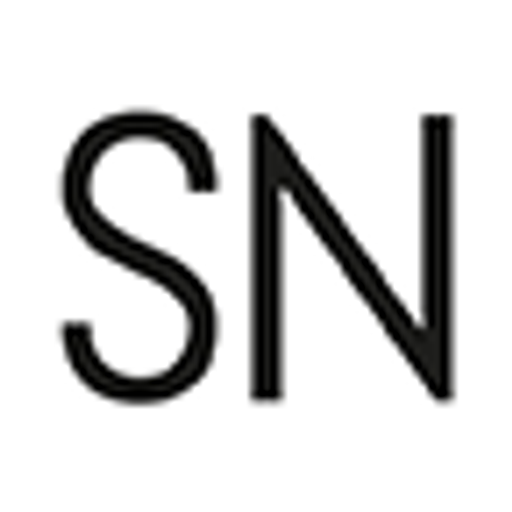 Studio Nicholson logo