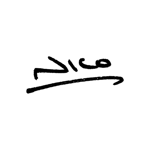NICO Eyewear logo