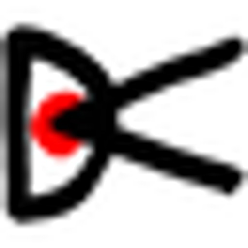District Vision logo
