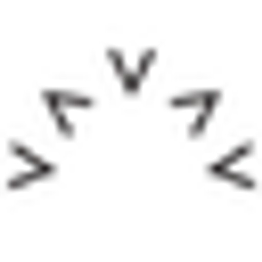 Varley US logo