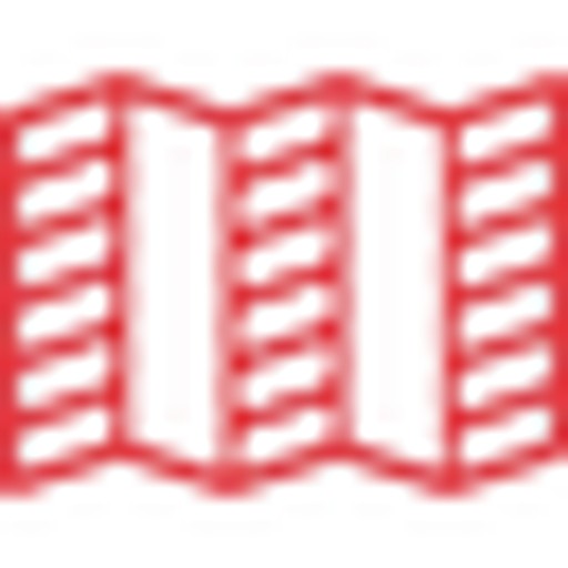 Topo Designs logo